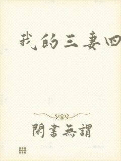 我的三妻四妾