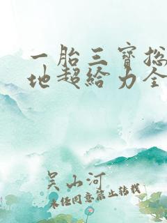 一胎三宝总裁爹地超给力全文免费阅读