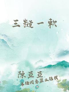 三糙一软