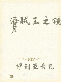 海贼王之镜花水月