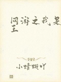 网游之我是海贼王