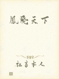 凤飞天下