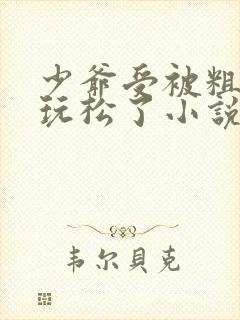 少爷受被粗汉H玩松了小说