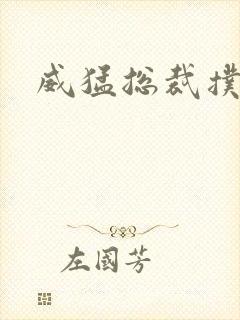 威猛总裁扑娇妻