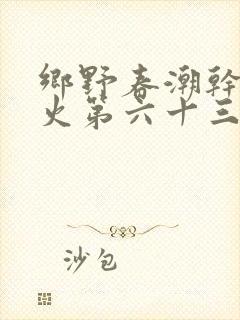 乡野春潮干柴烈火第六十三章