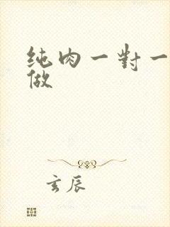 纯肉一对一到处做