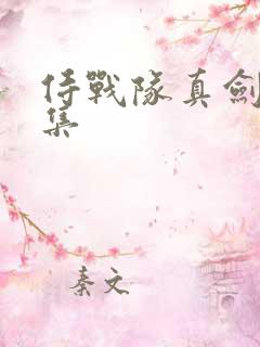 侍战队真剑者全集