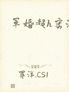 军婚超h密液