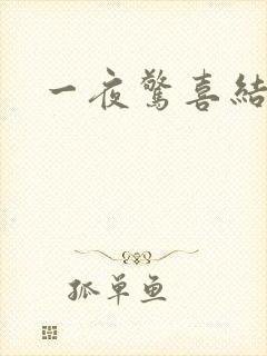 一夜惊喜结局