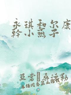 永琪和尔康一起干小燕子