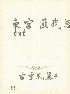 东宫 匪我思存 txt