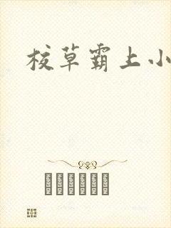 校草霸上小丫头