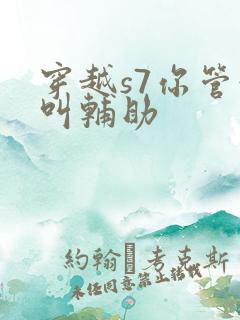 穿越s7你管这叫辅助