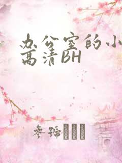 办公室的小秘书高清BH