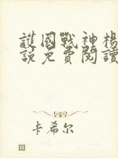 护国战神杨风小说免费阅读