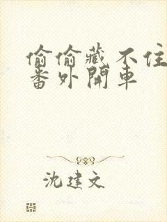 偷偷藏不住婚后番外开车