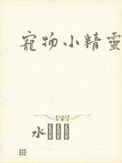 宠物小精灵之梦