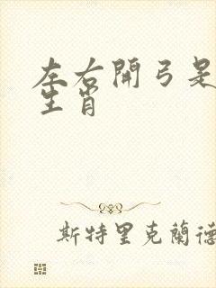 左右开弓是什么生肖