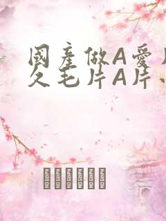 国产做A爱片久久毛片A片小说