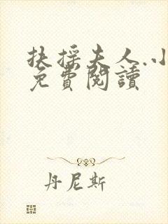 扶摇夫人.小说免费阅读