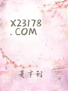 X23178 . COM