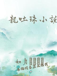 龙吐珠小说
