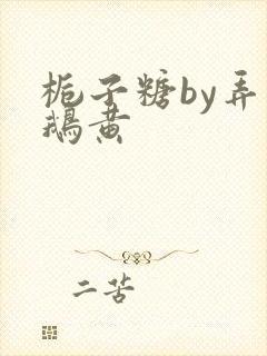 栀子糖by弄白鹅黄