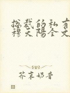 总裁的私有宝贝穆天阳全文阅读