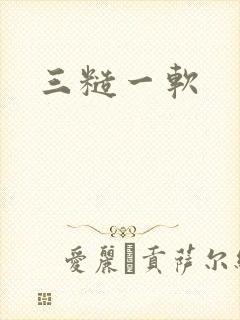 三糙一软