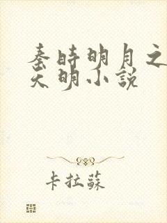 秦时明月之夜尽天明小说