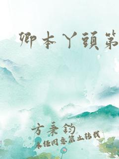 卿本丫头第二部