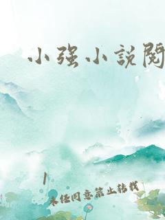 小强小说阅读网