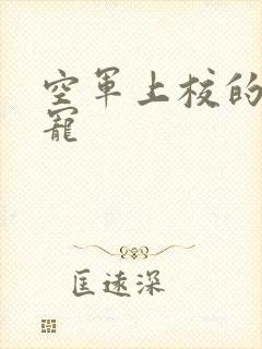 空军上校的邪魅宠