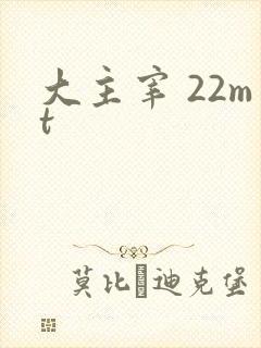 大主宰 22mt
