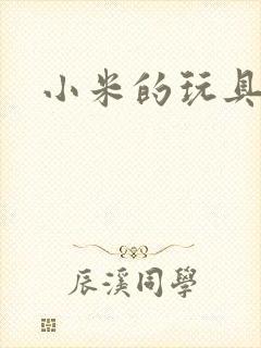 小米的玩具日记