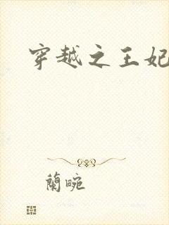 穿越之王妃有孕