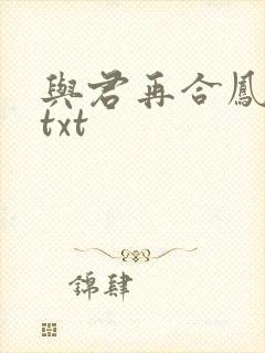 与君再合凤求凰txt