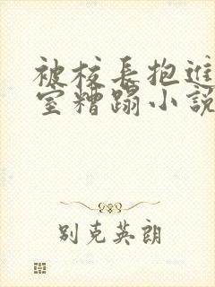 被校长抱进办公室糟蹋小说