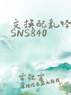 交换配乱吟粗大SNS840