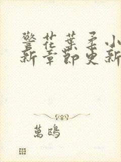 警花叶柔小说最新章节更新