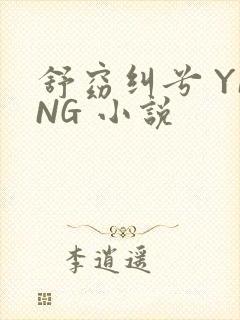 舒窈纠兮 YING 小说