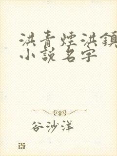 洪青烟洪镇国的小说名字