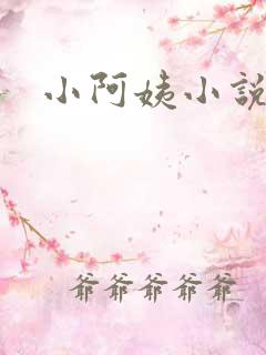 小阿姨小说