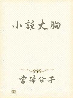 小说大胸