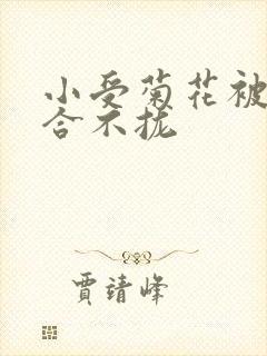 小受菊花被双龙合不拢