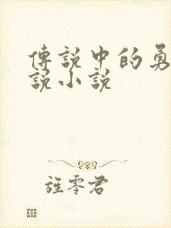 传说中的勇者传说小说