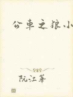 公车之狼小说