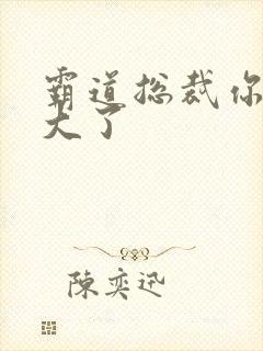 霸道总裁你的太大了