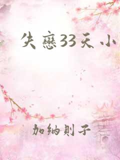 失恋33天小说