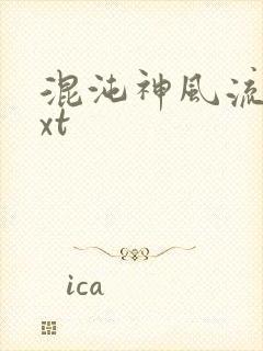 混沌神风流史txt